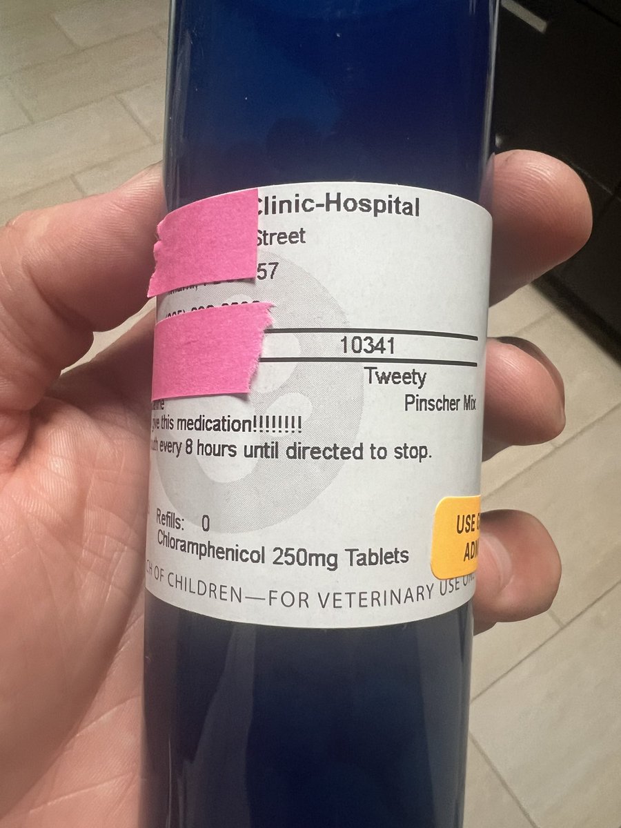 IDstewardship's tweet photo. First time seeing #chloramphenicol IRL. 

Prescribed to a 🐕 with a staph infection of a hind foot. 

3 tabs TID with 30d supply given. 

Says don’t touch the med/ wear gloves. 

Foot wound markedly improved but ongoing for weeks. 

Seems a bit excessive. But I don’t usually treat dogs or see this med so 🤷‍♂️
