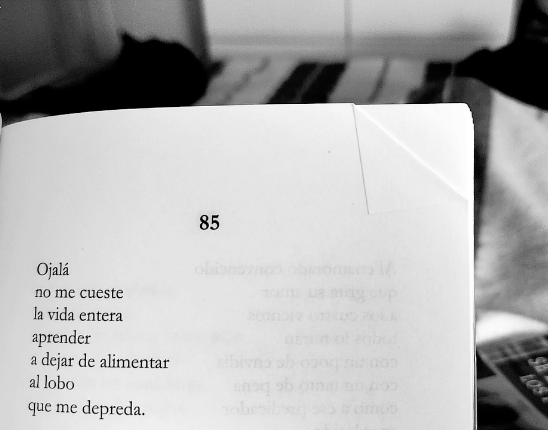 communitas's tweet photo. que buena que es Nina Ferrari , dios https://t.co/RBgks6mdgy