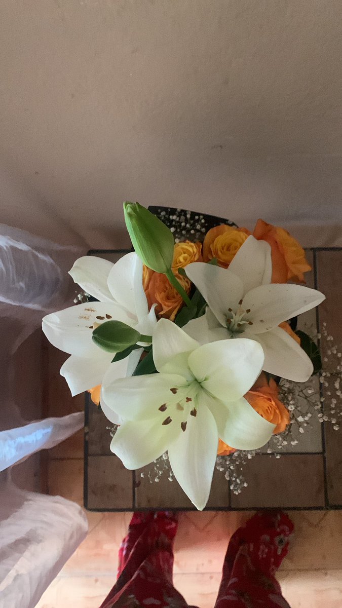 trejoo_23's tweet photo. antes pensaba q las flores solo se regalaban en ocasiones especiales y mi hombre ya me demostró de mil maneras lo contrario💘💞💞💞🩷🩷💕💖💘 https://t.co/Or4ICmdiTy