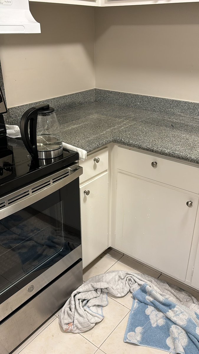 Linus Lu tweet media