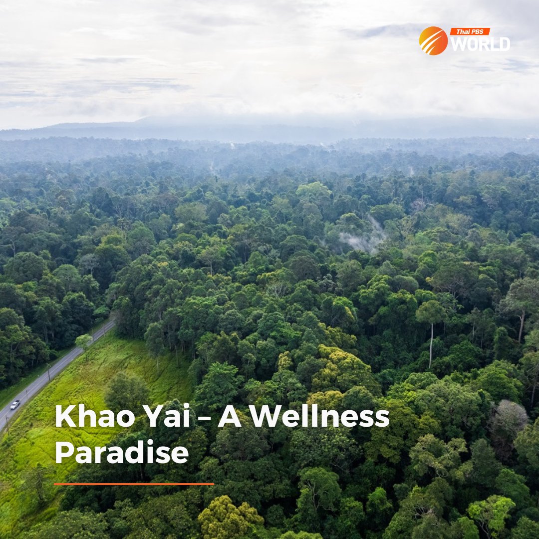 ThaiPBSWorld's tweet image. Deep in Nakhon Ratchasima province, Khao Yai is on the cusp of becoming one of Thailand’s foremost wellness destinations.

thaipbsworld.com/khao-yai-a-wel…

#ThaiPBSWorld #KhaoYai