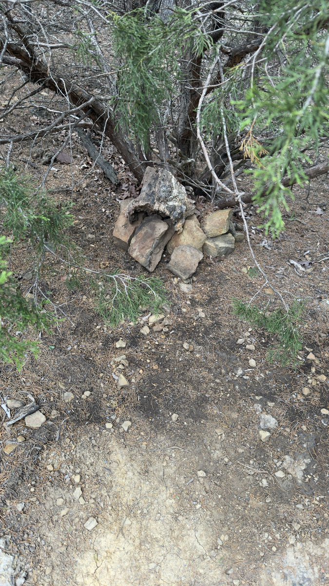 3CharlesWatkins's tweet photo. Oldest geocache in Oklahoma was found while we were there!! #pathfinder33 #geocaching #geocache #getoutside #gogeocaching https://t.co/CFzJgIO4ZB
