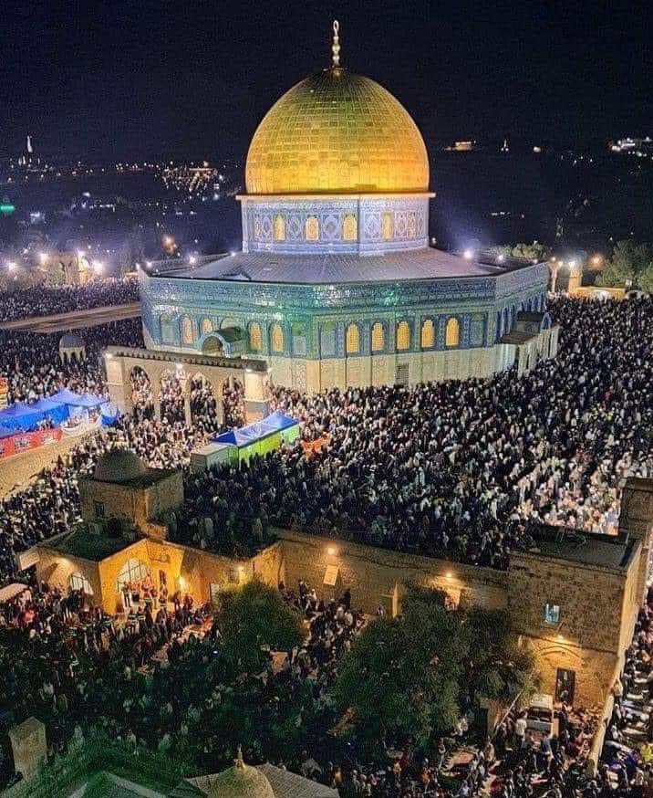 यदि आप ओनलाइन है तो फ्री फिलिस्तीन लिखें!

#FreePalestine ✌️