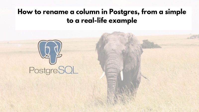 geshan's tweet image. Thinking about renaming a column in Postgres? It's not as easy as it sounds! Dive into this post to learn how to navigate this process from a simple example to a real-world scenario, ensuring a... 💡 #PostgresTips #DatabaseDevelopment #ZeroDowntime
buff.ly/3WcNHUp