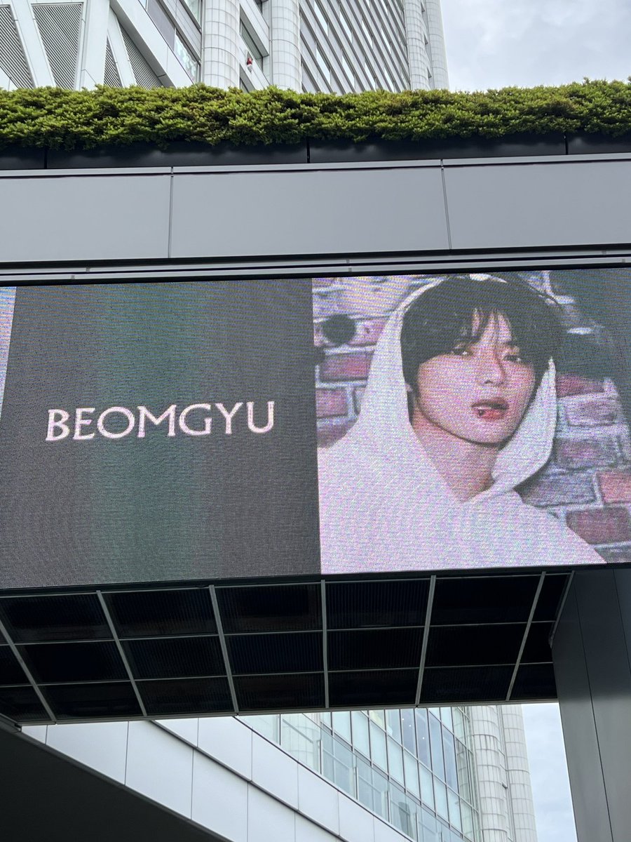 cookieom313's tweet photo. 🌸Tokyo🌸 https://t.co/Il6SfEcvyR