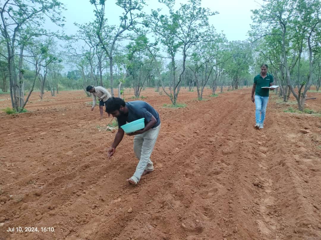 directoragbhu's tweet photo. संस्थान में संचालित अखिल भारतीय शुष्क कृषि अनुसन्धान परियोजना के अंतर्गत
रा गाँ द परिसर, काशी हिन्दू विश्वविद्यालय में कृषि वानिकी में नए अनुसंधान प्रयोगों की बुवाई शुरुआत....
@icarindia @AgriGoI @bhupro @IariSudhir @VCofficeBHU https://t.co/34XT1WWHBi