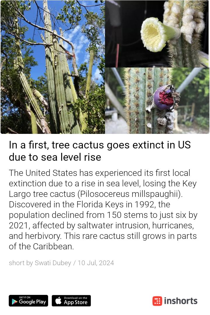 tnv_indore tweet media