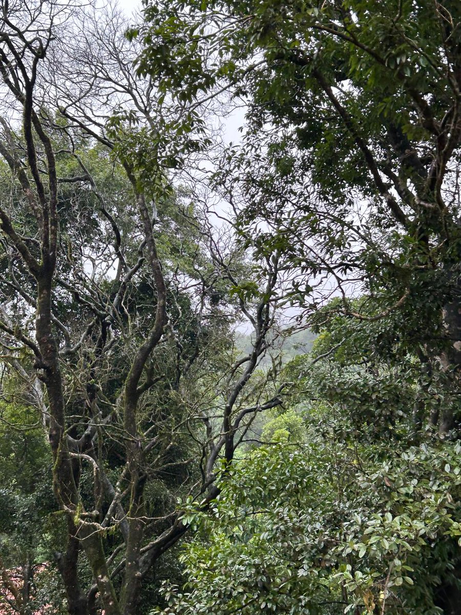 lahari6281's tweet photo. Peace❤️ 

#trip #nature
#gokarna https://t.co/S1ikC8xSOR