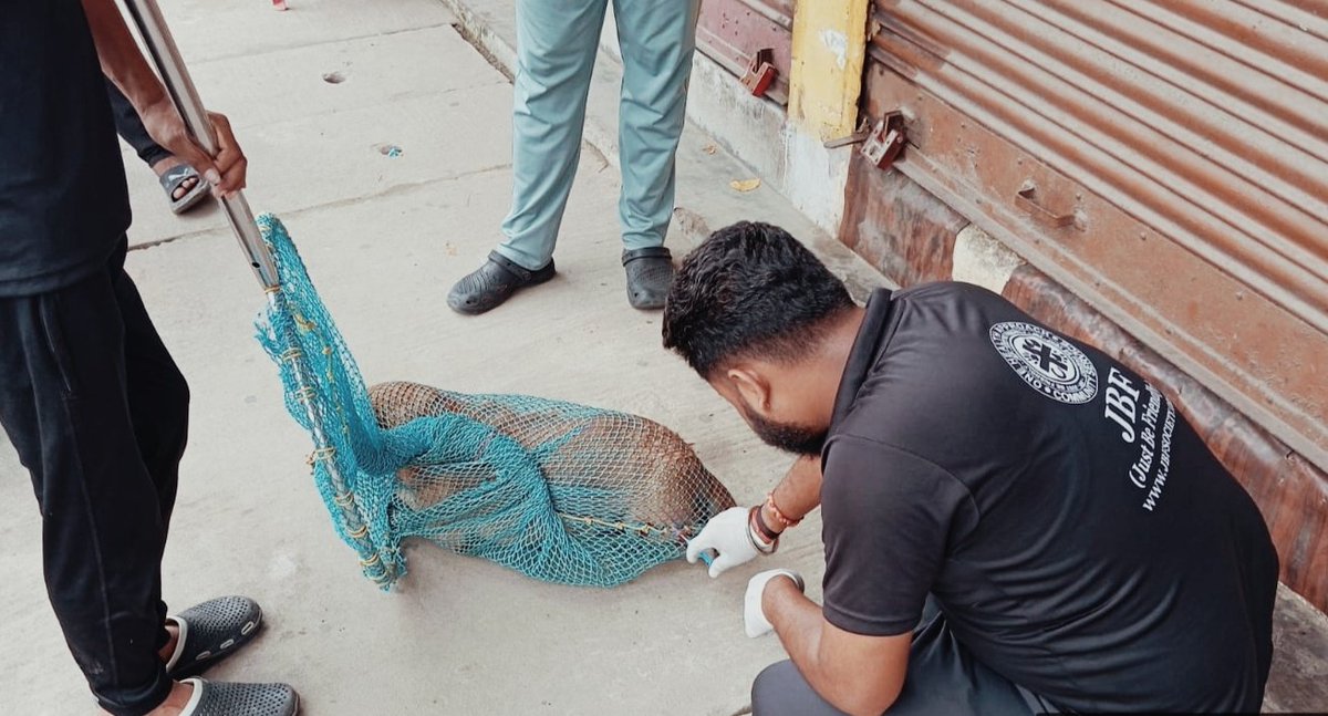 JustBFriendly's tweet photo. "Rapid response 4 their well-being"
While some may doubt our mission, we believe that our actions will speak louder than words

#onspottreatment

Donate: https://t.co/BeCjBg3k3D

#jiraw #JBF #justbefriendly #BeMoreHumane #donatenow #donateforacause #AwarenessMatters https://t.co/3vbggzqnXt