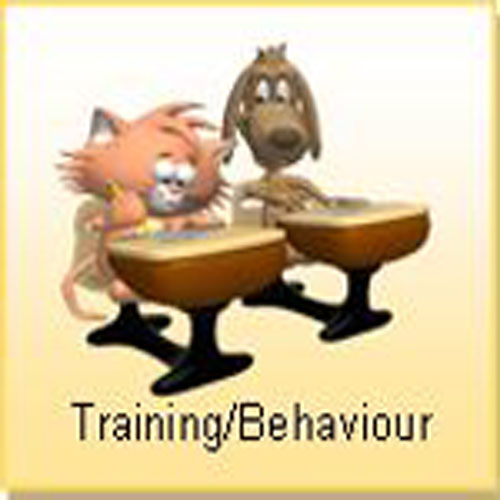 Tiggers_Tails's tweet photo. Tigger Club Business Listing:
Animal Behaviourists and Trainers.
https://t.co/CGQZ1wbCPz
If you are an animal behaviourist or trainer and would like a free listing, contact me at business@tigger.club
#TiggerClubNews #behaviourist #trainer https://t.co/L4FgHbhrOW