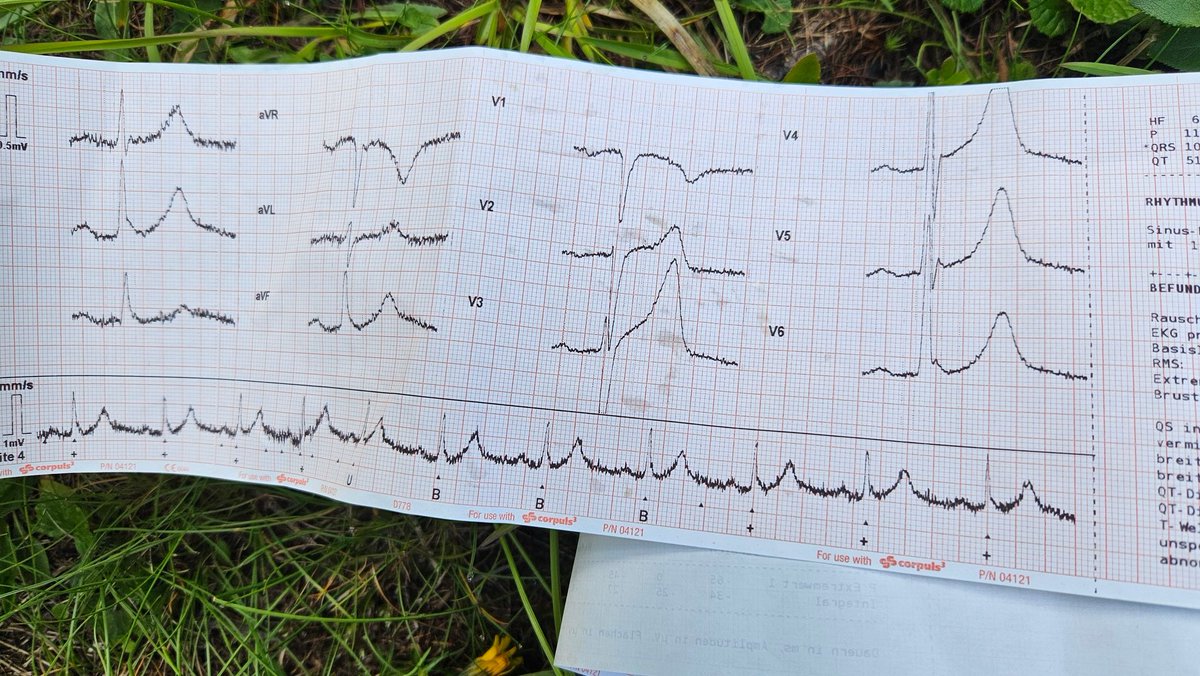 Erschöpfung beim Wandern und Engegefühl auf der Brust. Transportziel? Anmeldediagnose?