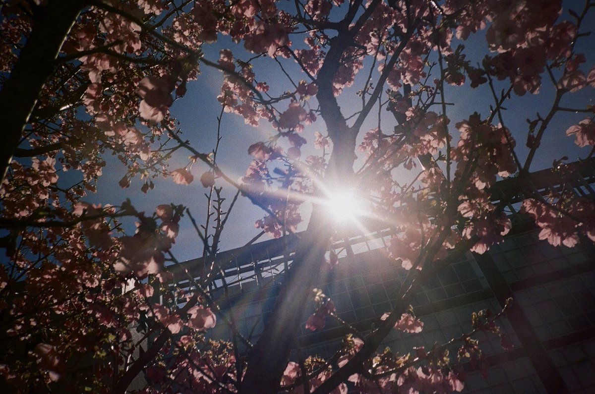 캔들🕯️☘️ tweet media