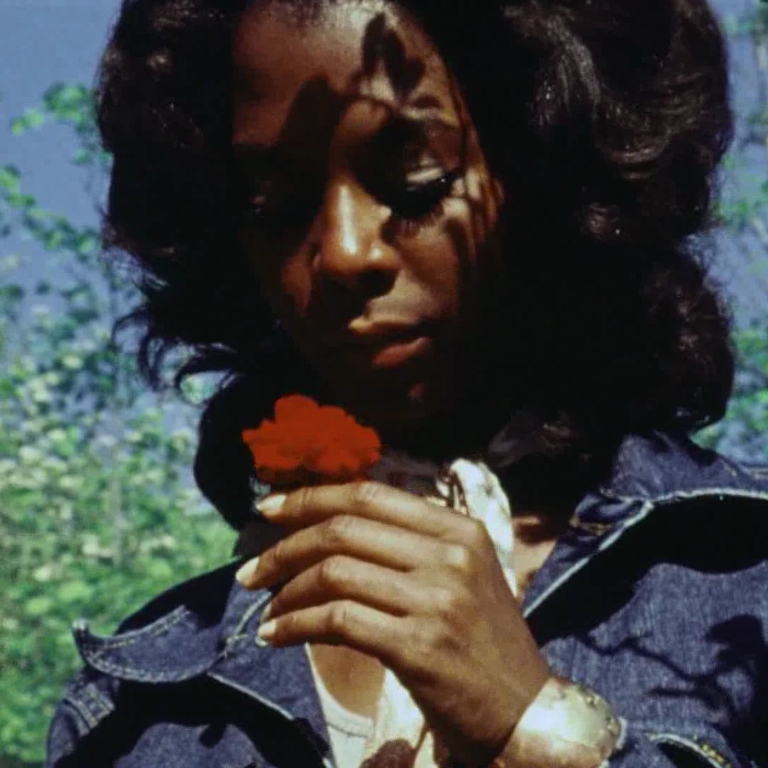 Static Vision tweet media