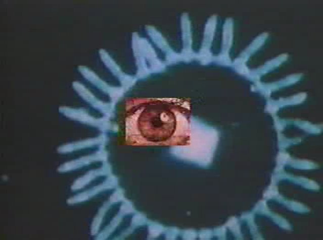 Static Vision tweet media