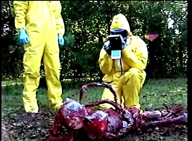 Static Vision tweet media