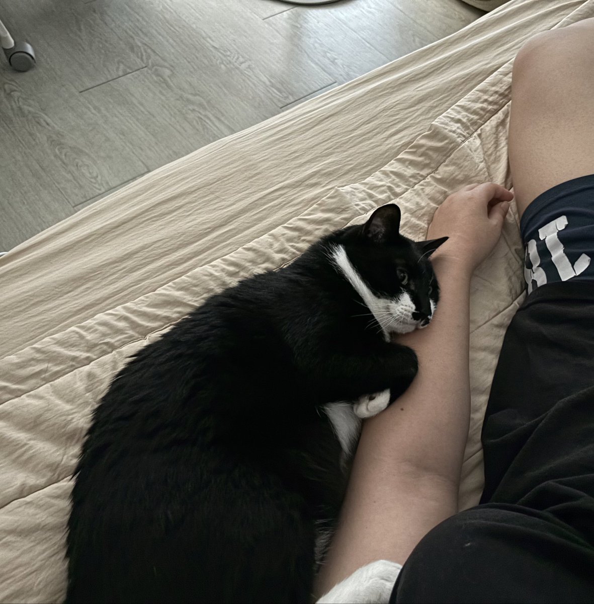 요즘은 이런 아침을 맞이하는 중이다