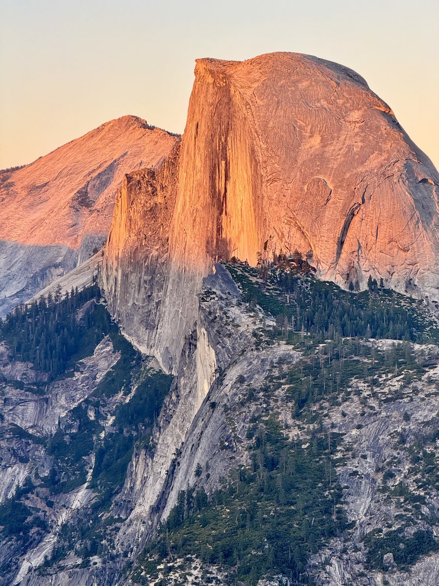 Trader米哥 🚀 tweet media