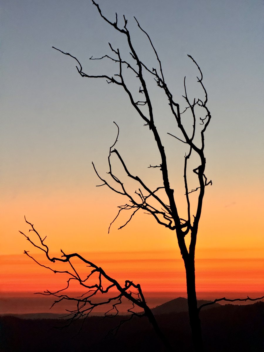 Trader米哥 🚀 tweet media