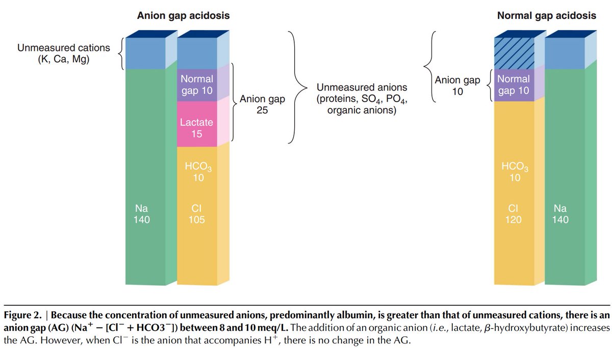 edgarvlermamd's tweet photo. Acid Base Disorders in the Critically Ill Patient ca. 2023 from @CJASN @AchantiAnand @Pissprophet #AKIinICU #Nephpearls 

👉 https://t.co/VzGHfEOsxu https://t.co/IOL5bd3ZMo