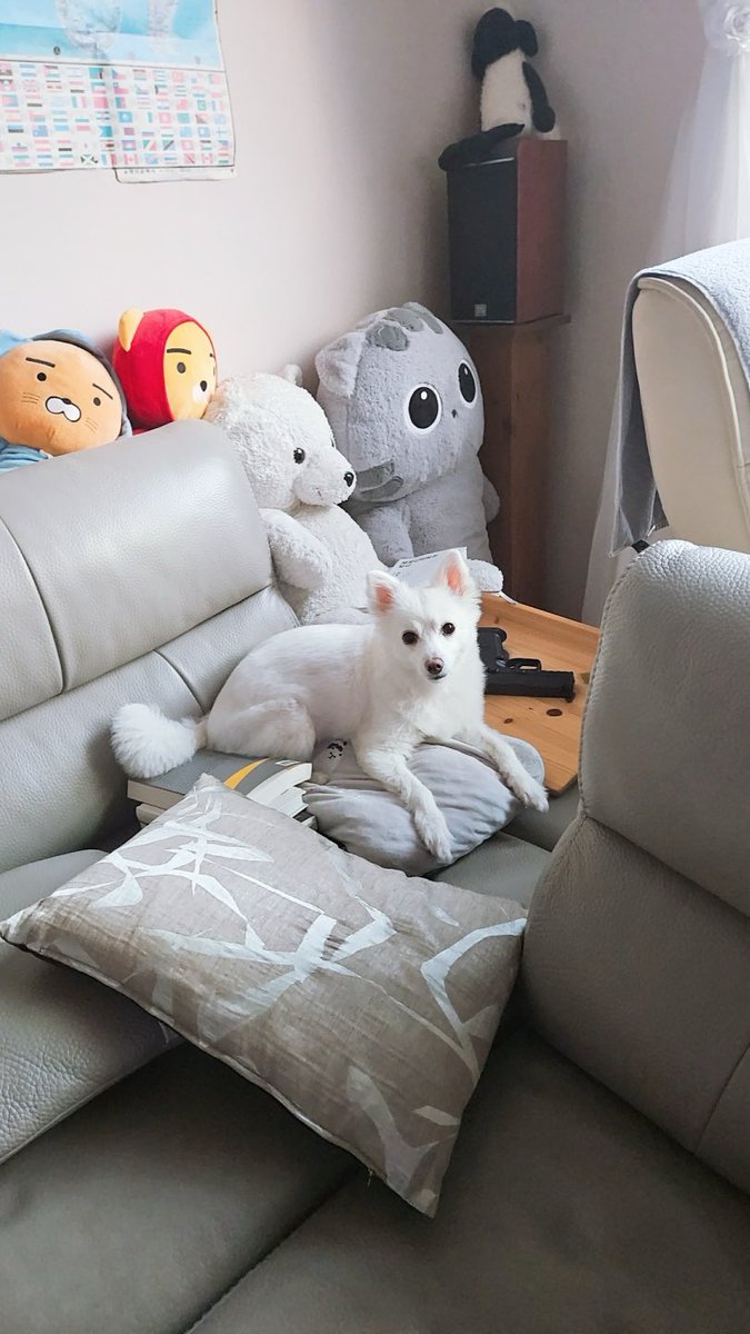 JINkkokang's tweet photo. "화이트 벨벳이라…한때 그런 이름으로 불린 적도 있었지. 이제는 다 옛날일이야"
그의 말과는 반대로 뒷편에 있는 총기가 햇살에 선명히 빛나고 있었다. https://t.co/5Mrb7C4z50
