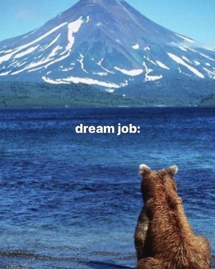 thematrixwizard's tweet photo. https://t.co/wfAjZc5pol