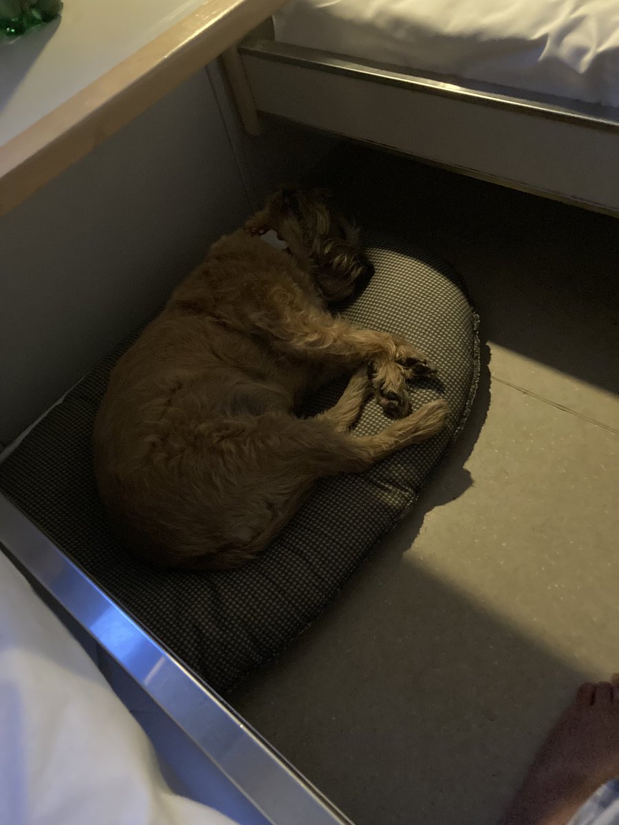 Gill Walker tweet media