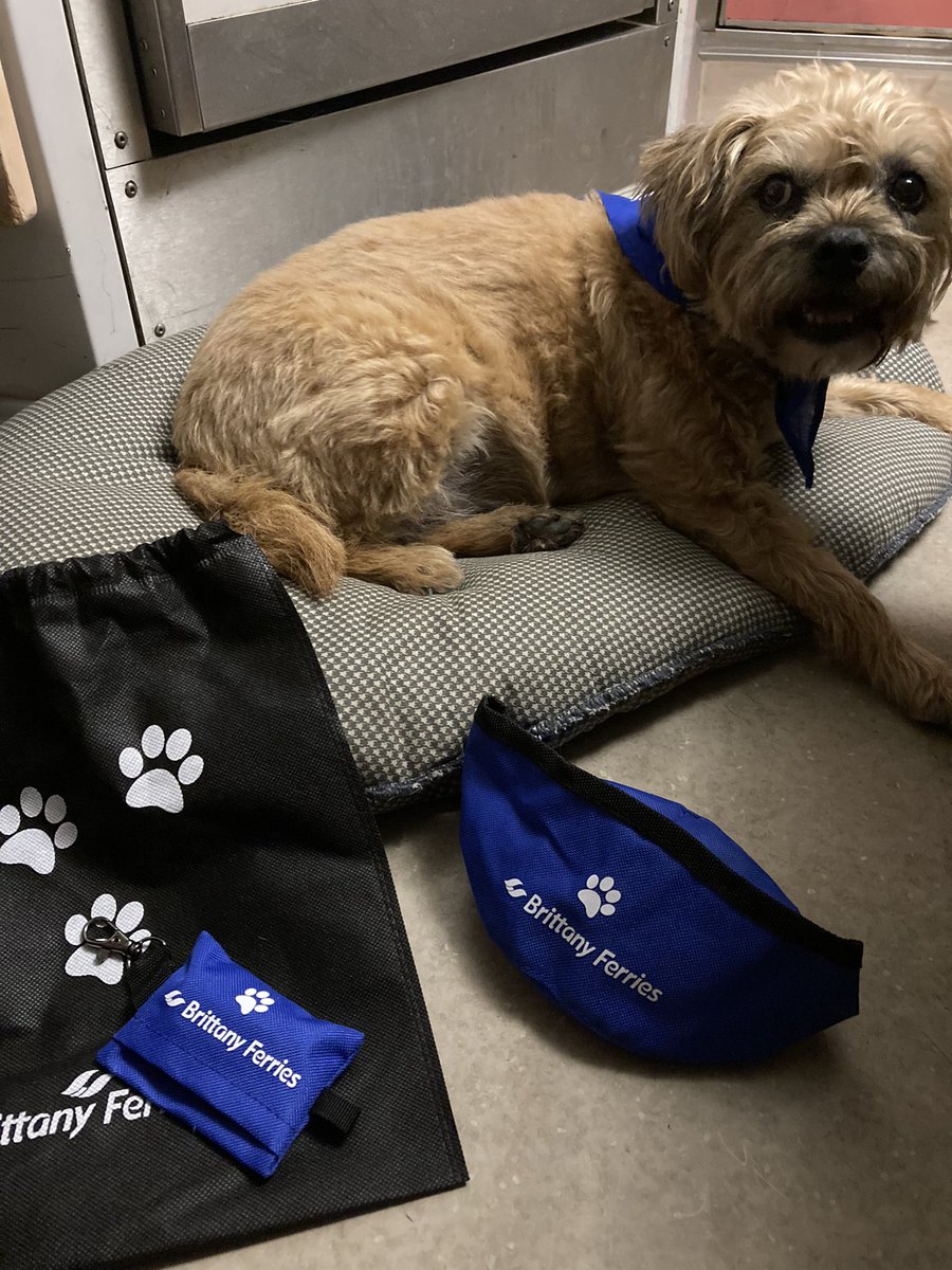 Gill Walker tweet media