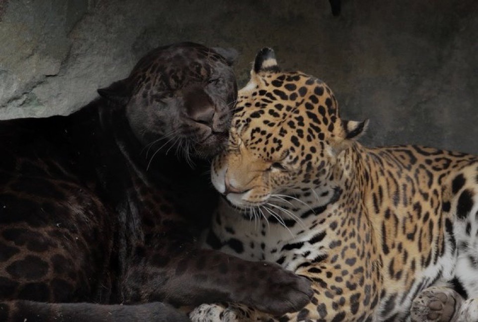 ★ (@thematrixwizard) on Twitter photo 