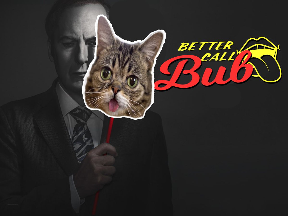 <a href="/Dior100x/">Dior</a> We win some trades, we lose some trades. All thats important is the tongue stays out $BUB <a href="/CtoBub/">Lil Bub 👁👅👁 (Parody)</a>