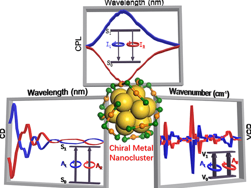 Unraveling the dynamic world of chiral nanomaterials!

Our research decodes the chirality of chiral nanoclusters (CNCs) through chiral ligands, helix staples, asymmetric metal kernels, and chiral organic ligand arrangements.

doi.org/10.1021/accoun…