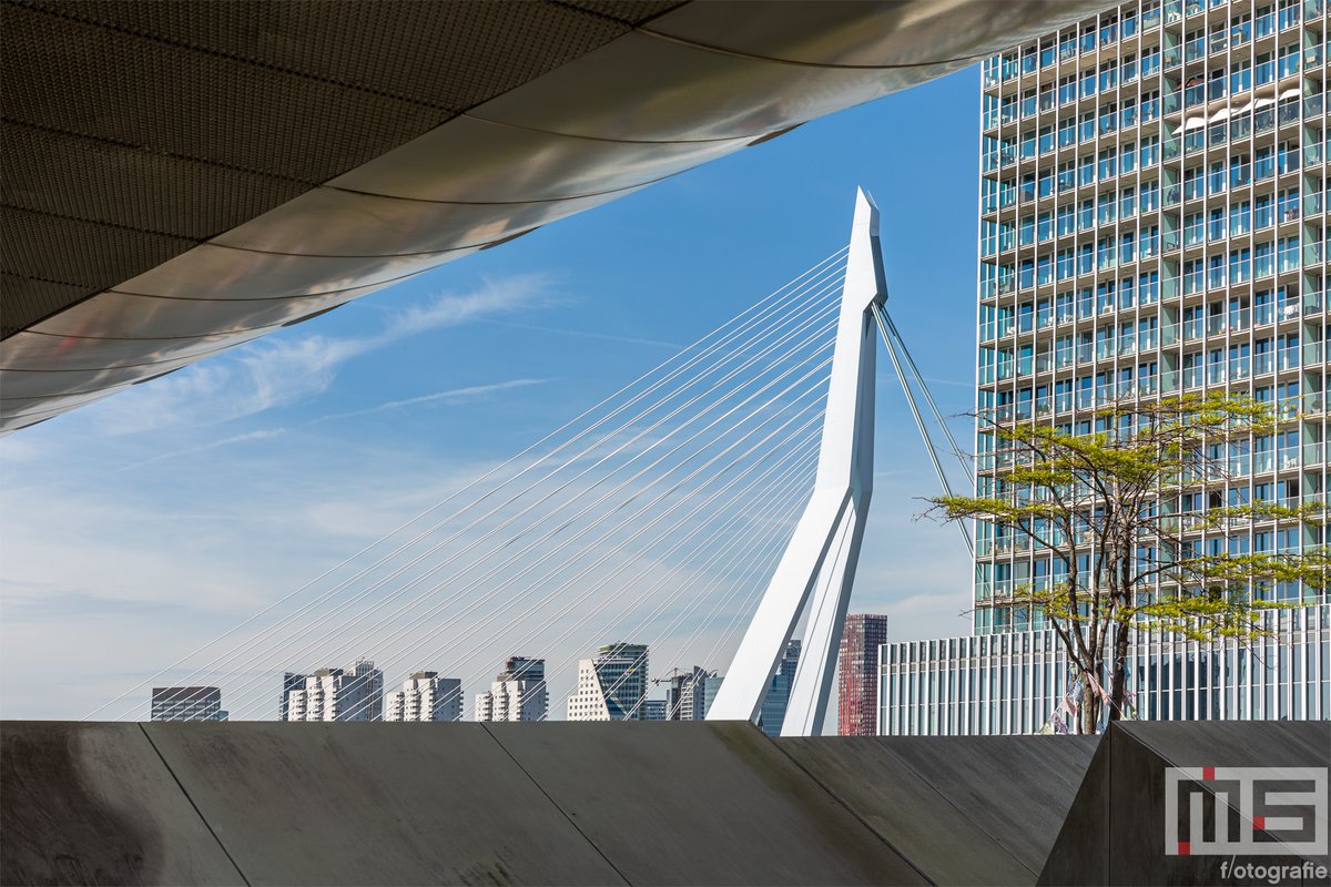 010byday's tweet photo. De #Erasmusbrug in #Rotterdam door @marcvanderstelt als mooie afdruk op #canvas of #print? Verkrijgbaar in 18 landen in #Europa via https://t.co/RS6jZSD9Ij
#art #behang #fineart #fotoprint #wanddoek #wallart #wallcover #dibond https://t.co/WLGi74nLPb