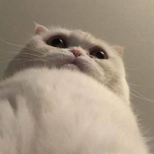 $pov suck me HIIIGHER