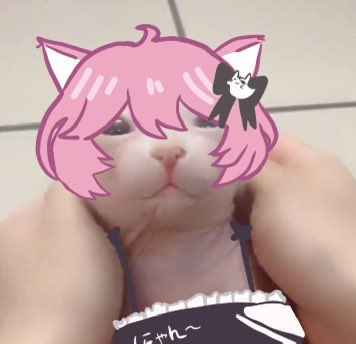 𝒏𝒊𝒏𝒊𝒊𝒊 ❥ (@niniya__) on Twitter photo 