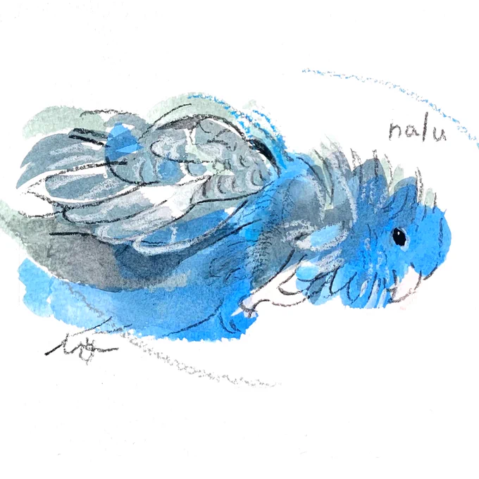 オーダー作品のご紹介セルフカキカキ中のサザナミインコさんです#小鳥のアートフェスタ in ABENO(会期は終了しました) 