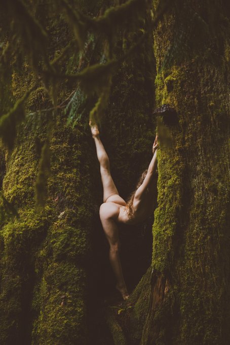 Thinking about running another Olympic National Park Workshop Oct 2025...who wants to explore some of