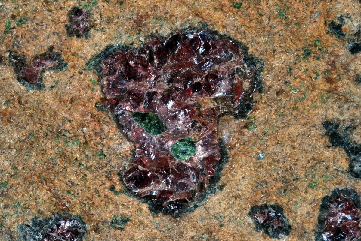 ⛏️[#MineralMonday] Peridotite samples from the Alpe Arami (Switzerland), containing red garnet and emerald green diopside. This rock represents a piece of the Earth's mantle which was pushed up to the surface about 30 million years ago.