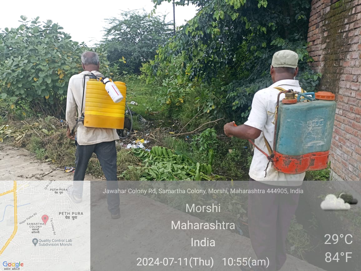 mcmorshi's tweet photo. दि.११/०७/२०२४
शहरातील विविध भागांमध्ये फॉगिंग व फवारणी
प्रभाग क्र. 5 मधून नालीवर आणि साचलेल्या पाण्यात जन्तुनाशक (डेंग्यू ) फवारणी सुरु
नगरपरिषद मोर्शी, जि. अमरावती.
ULB CODE - ८०२६८७
📷📷माझी वसुंधरा अभियान ५.0 📷📷
📷 स्वच्छ सर्वेक्षण २०२४📷
*सफाई अपनाओ बिमारी भगाओ अभियान* https://t.co/vGgtjEBMm2