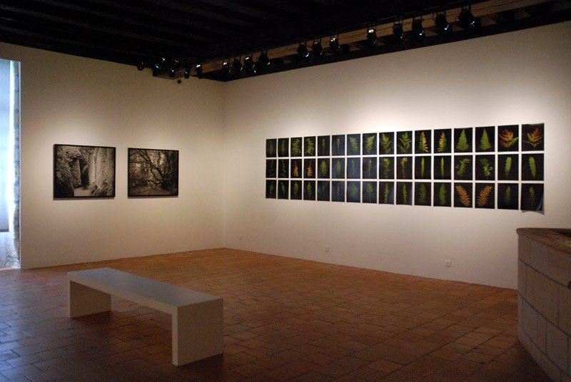 FranceFineArt's tweet photo. [agenda culturel] #expo Juliette Agnel. Pierre, feuille, silex #ExpoJulietteAgnel #PrixNiépce2023 @jeudepaume Château de Tours @villedetours #ITW @JulietteAgnel #podcast à écouter @FranceFineArt https://t.co/rWSoJTzyG3 https://t.co/Vu551HI5ez