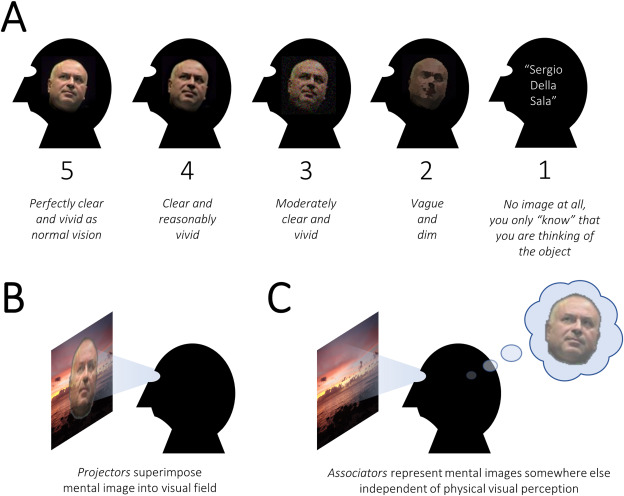 Fatima Maria Felisberti (@ffelisberti) on Twitter photo What is the true range of mental imagery (MI)?
<a href="/sampendu/">Sam Schwarzkopf (sampendu.bsky.social)</a>
Interesting! MI could vary in mode. Projectors perceive MI as superimposed onto their visual experience, associators do not “see” MI but can have a clear visual representation of the imagined face.
sciencedirect.com/science/articl… What is the true range of mental imagery (MI)?
<a href="/sampendu/">Sam Schwarzkopf (sampendu.bsky.social)</a>
Interesting! MI could vary in mode. Projectors perceive MI as superimposed onto their visual experience, associators do not “see” MI but can have a clear visual representation of the imagined face.
sciencedirect.com/science/articl…