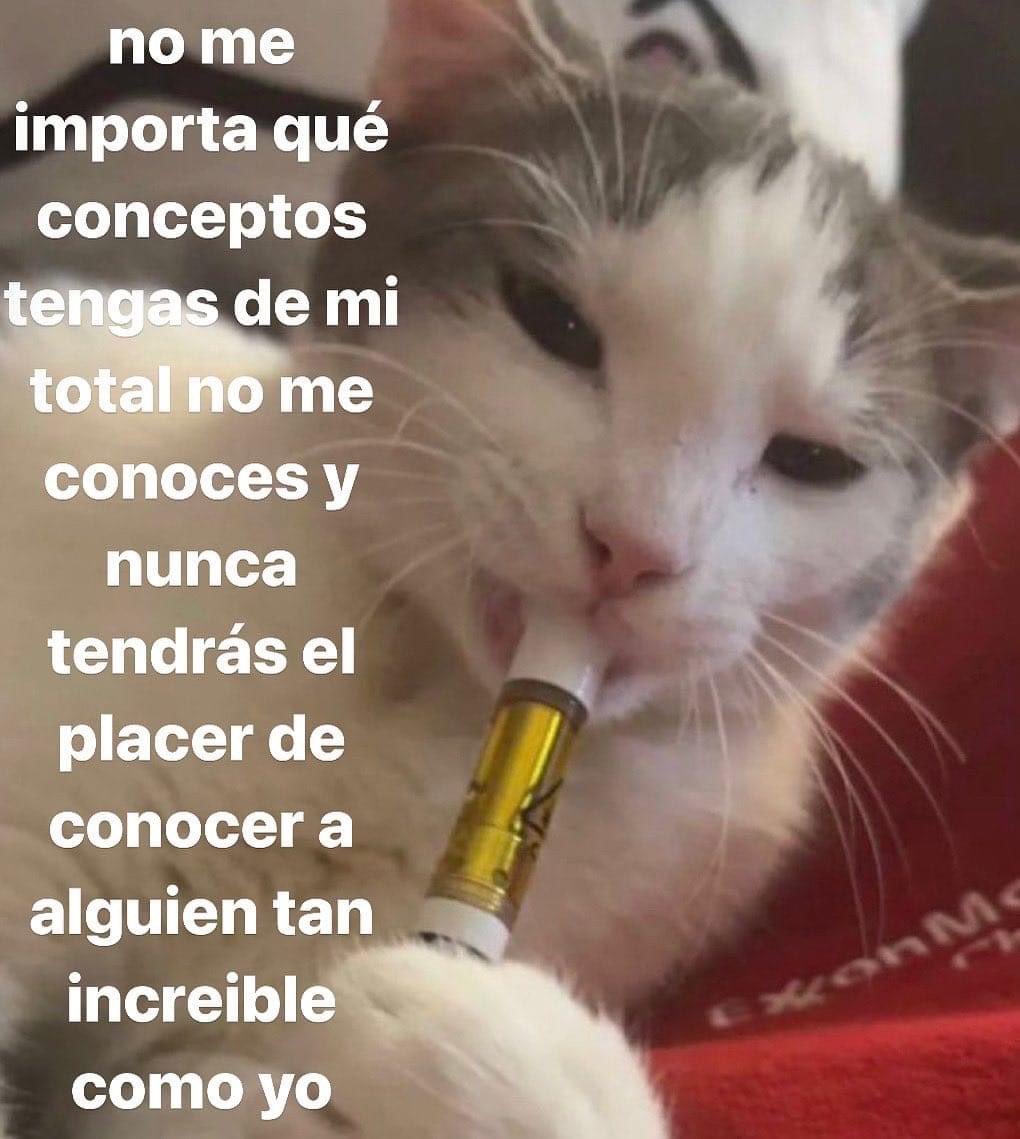 Angel Artesano ॐ (@angeel_artesano) on Twitter photo 