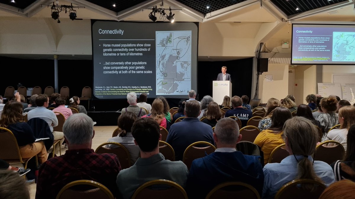 DarylBurdon's tweet image. Inspired by a great day of talks and posters @CF_Conf #ReMeMaRe24 yesterday. Looking forward to presenting our @SeaTheValue research today. #ParticipatoryMapping #MarineRestoration #CommunityEngagement #Saltmarsh #NativeOysters #Seagrass