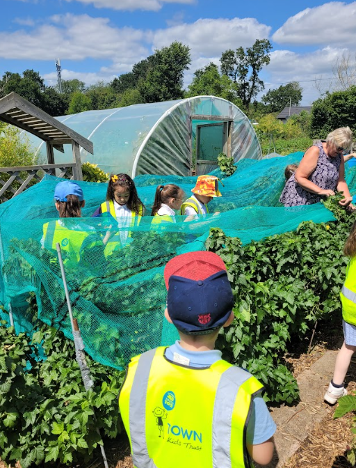 TigersBCP's tweet photo. We had a lovely visit to the allotment last week, learning about different plants. We even picked some different fruits and saw an empty hornets nest! A huge thankyou to Pat for providing this experience for our children. https://t.co/6d3hsSz2mK