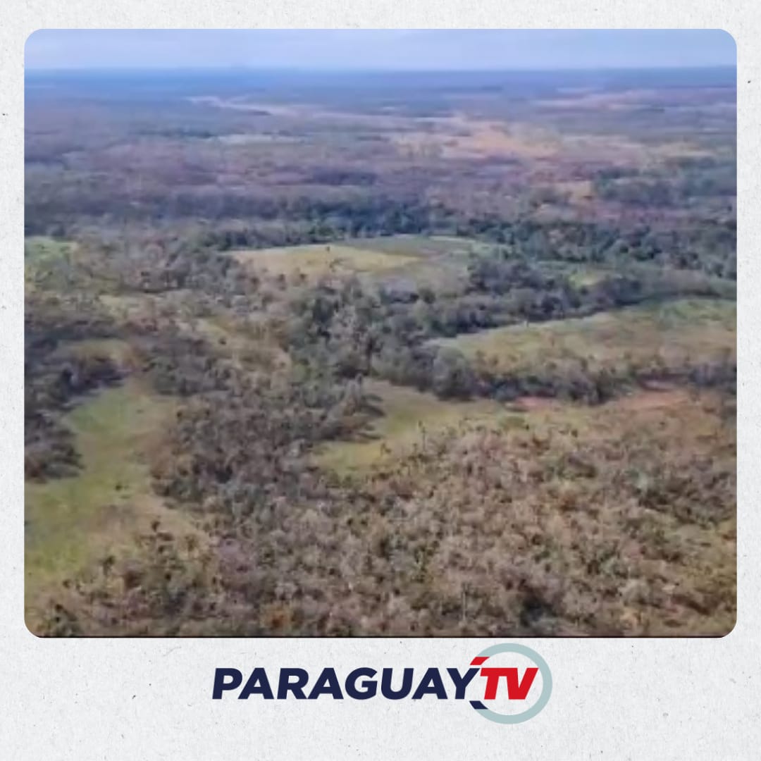 ParaguayTVHD's tweet photo. ▶️El Parque Paso Bravo es una de las zonas más estratégicas para producción y el tráfico de drogas en la región.

Las acciones operativas cuentan con apoyo de #DIMABEL para las detonaciones de pistas clandestinas y @mambiente_py en el marco de la protección de la reserva natural. https://t.co/mHYdkLb9e0