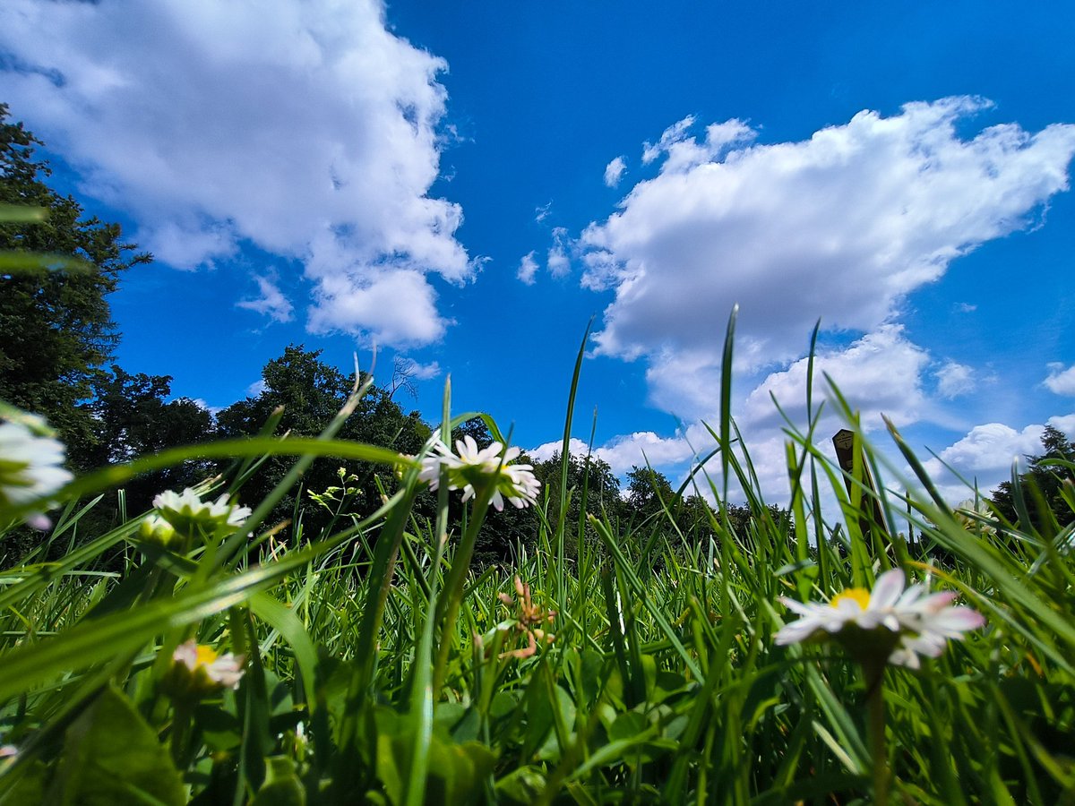 #vrtweer #brugge 12:57 Huyghe Stijn
