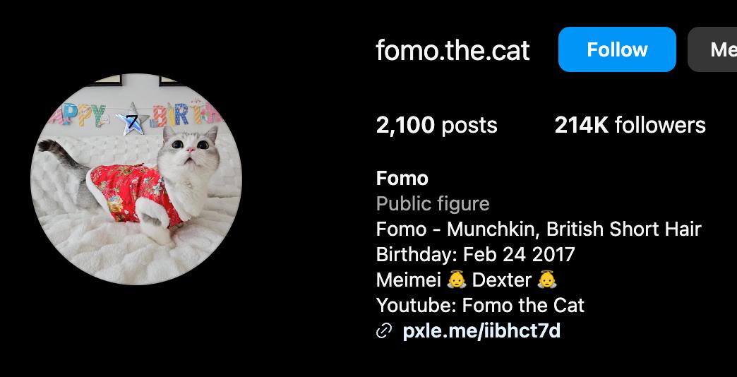 our community loves $FOMO ❤️