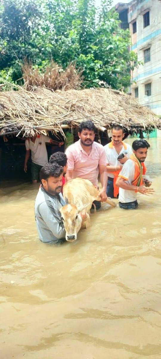 VHPDigital's tweet photo. राहत और बचाव कार्य...
यूपी के ���ाहजहांपुर जिले के नगरीय क्षेत्र से निकलने वाली दोनों नदियां गर्रा एवं खन्नौत उफान पर हैं। लगता है कि गत 30 वर्षों में ऐसी बाढ़ नहीं आई। विश्व हिंदू परिषद व युवा इकाई बजरंग दल के करीब आठ दर्जन कार्यकर्ता सतत बचाव एवं राहत कार्य में लगे हुए हैं।
#Bajarangdal_Sewa