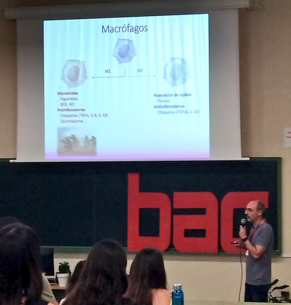 AntonioJ_RuizA's tweet photo. De ponencia hoy en el #bac2024 #Murcia @UMU, hablando de nuestros estudios en colaboración con @DAMF1970 @PaulaGarIban @CEBAS_CSIC y @JolyNez @Brunorm84 @IMIB_RMurcia, y de mis células favoritas, los #macrofagos https://t.co/Ig0twTypFf