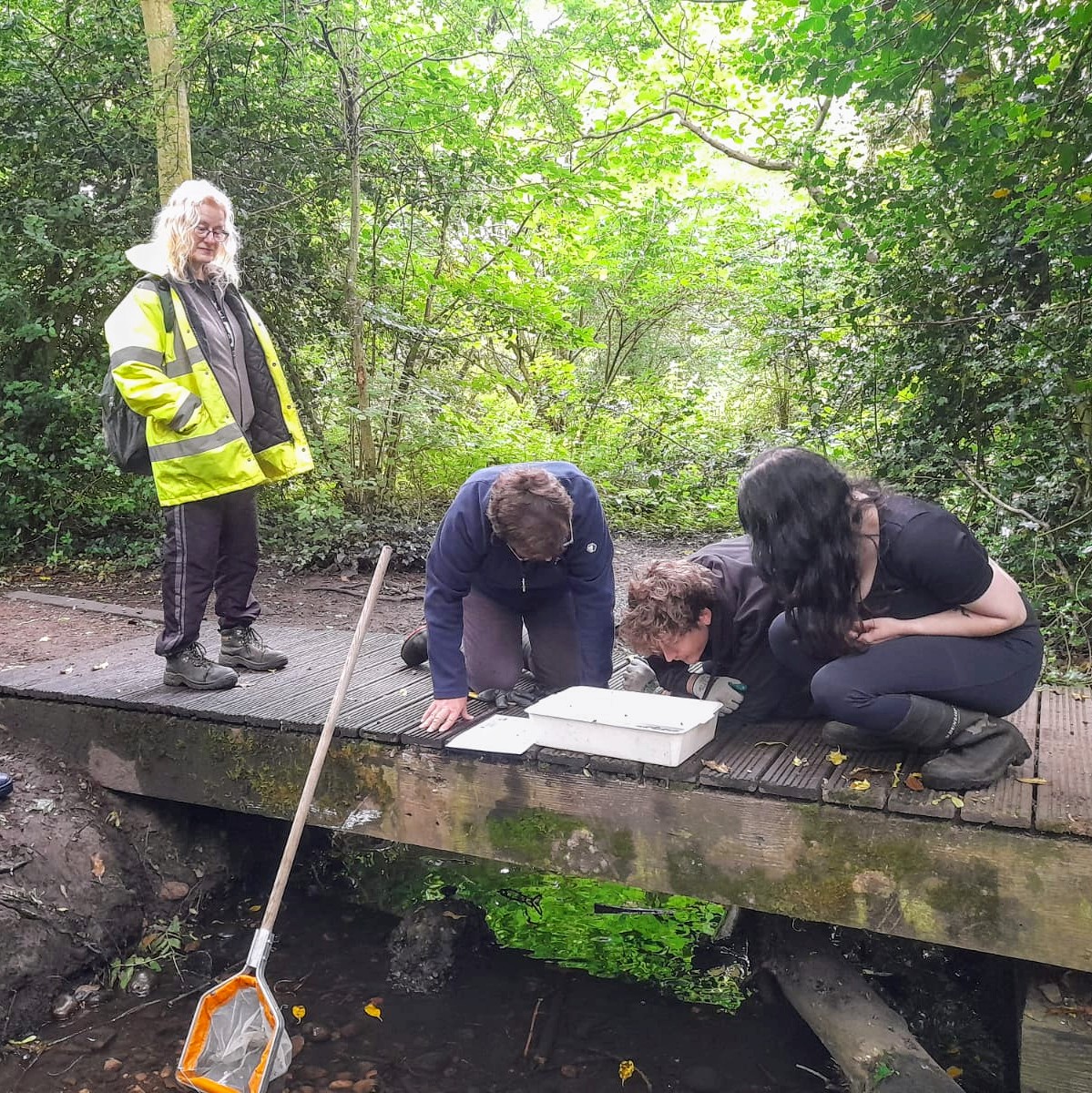 Thanks to our brilliant volunteers who helped with freshwater invertebrate sampling of the Coldbath Brook, Moseley Bog. It was encouraging to find Olive Mayfly Larvae alongside Freshwater Shrimp and Stickleback fry. Want to give sampling a try? Give <a href="/BrumRiverChamps/">Birmingham River Champions</a> a follow!