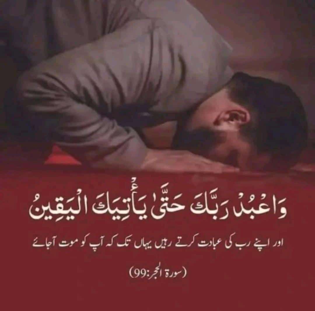 Malaika_Daud's tweet photo. آمین ثم آمین یا رب العالمین 💝🌹✨
بےشک اللّٰہ پاک کے علاوہ کوئی عبادت کے لائق نہیں۔ https://t.co/aUeQnSBkTC