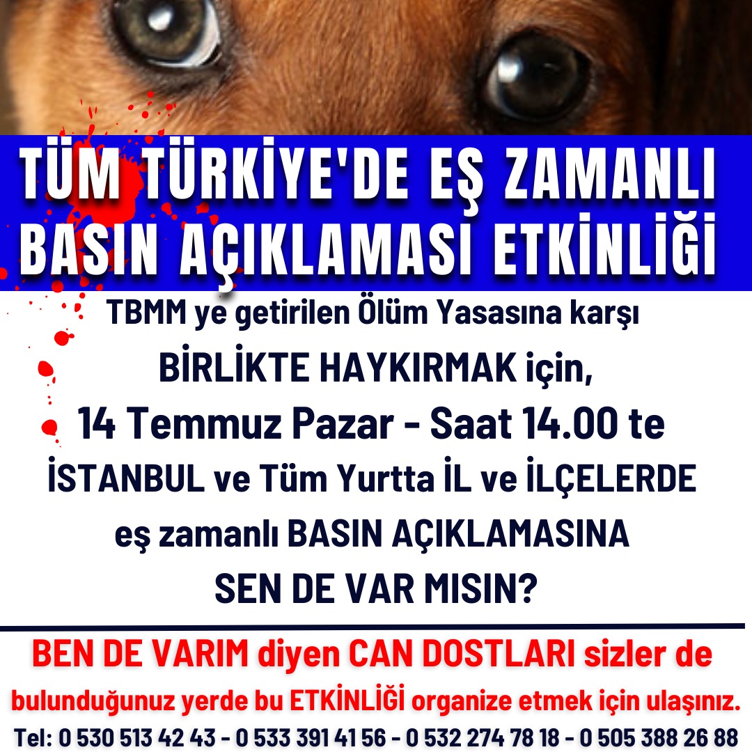 Katiliminiz cok onemli kopruden once son çıkış  tum Türkiye ayni anda ordayiz .🙏